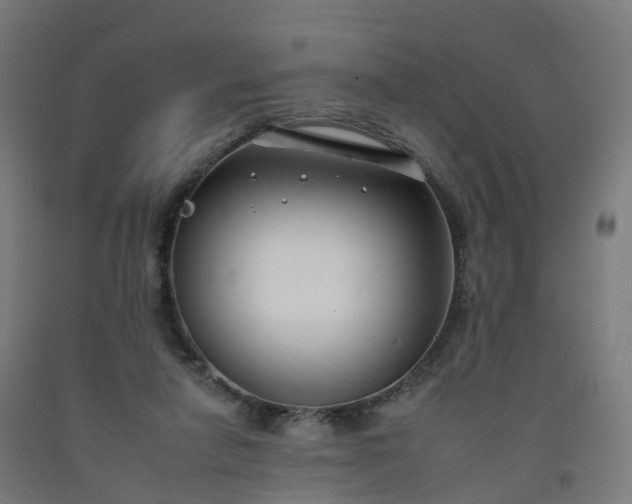 X0000092260258200709281210