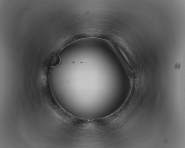 X0000092260259200709281210