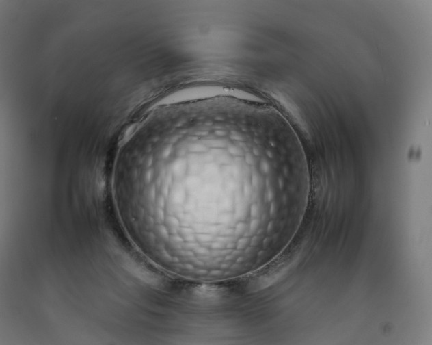 X0000092260261200709281210