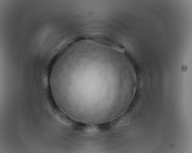 X0000092260262200709281210