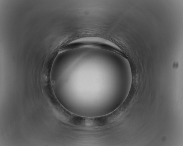 X0000092260264200709281210