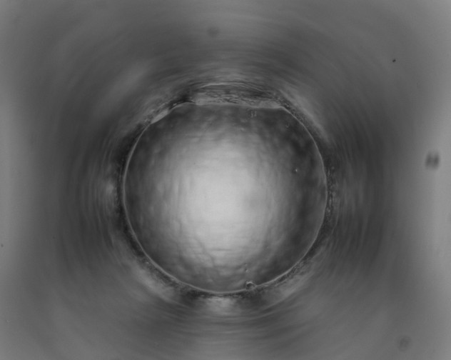 X0000092260265200709281210