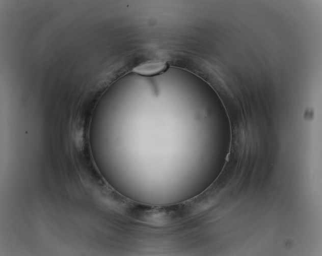 X0000092260267200709281210