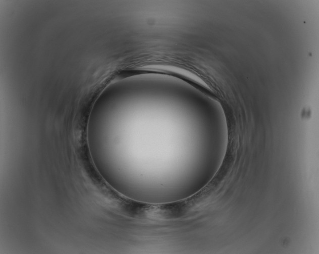 X0000092260268200709281210