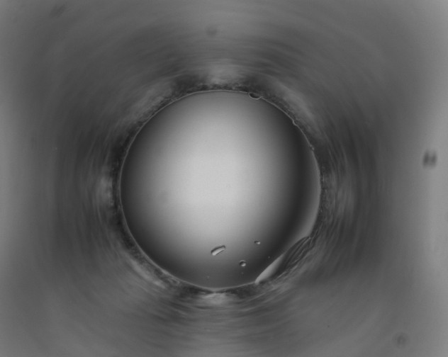 X0000092260269200709281210