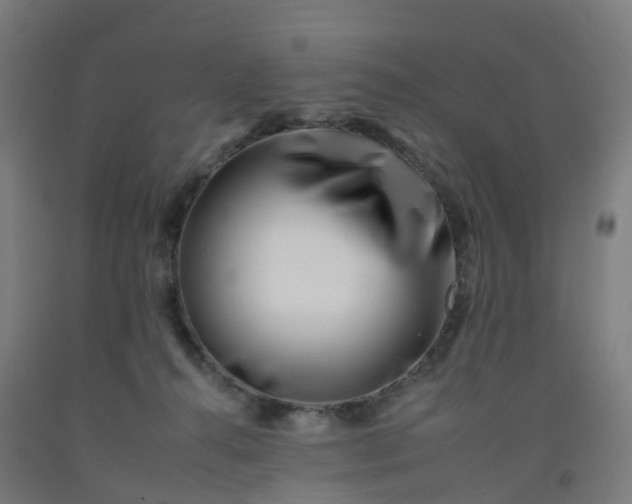 X0000092260272200709281210