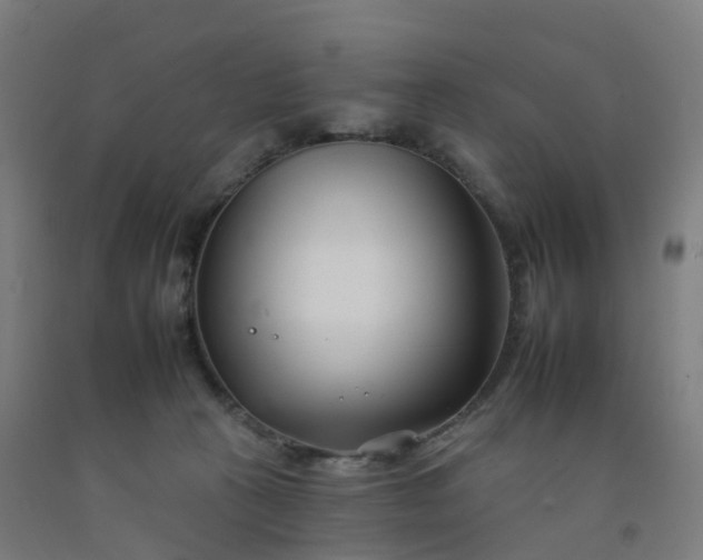 X0000092260273200709281210