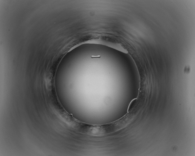 X0000092260275200709281210