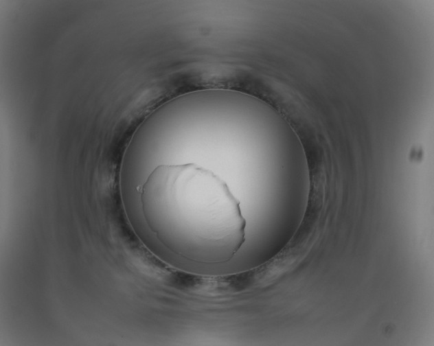 X0000092260278200709281210