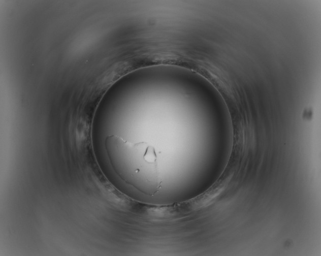 X0000092260281200709281210