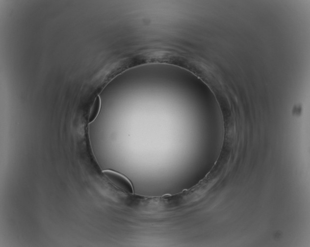 X0000092260282200709281210