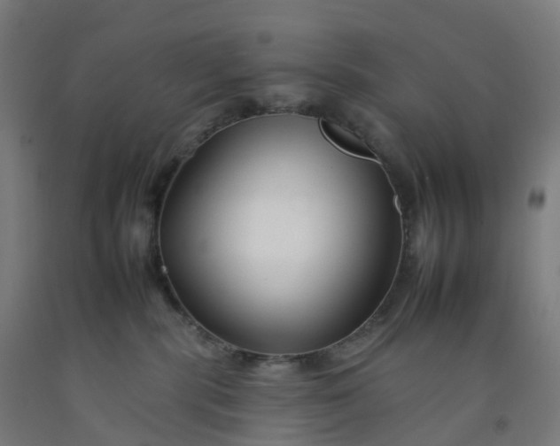 X0000092260283200709281210