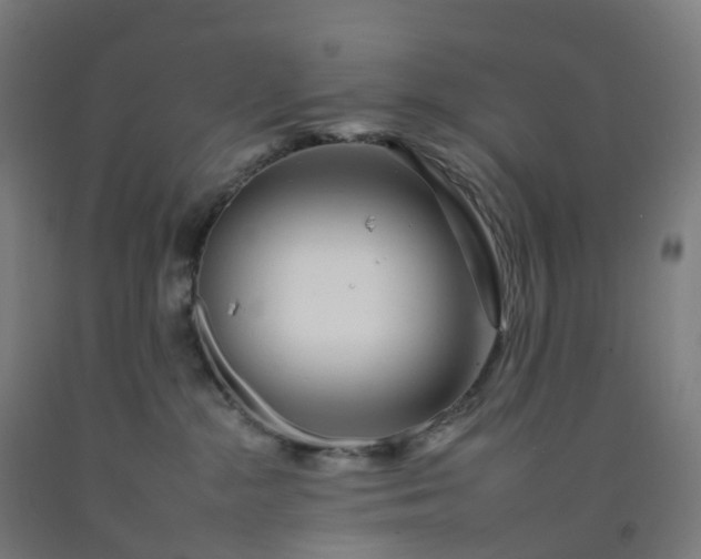 X0000092260284200709281210