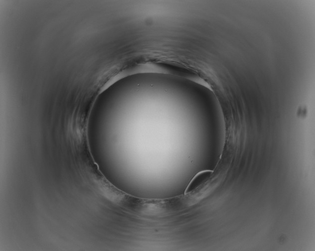 X0000092260285200709281210