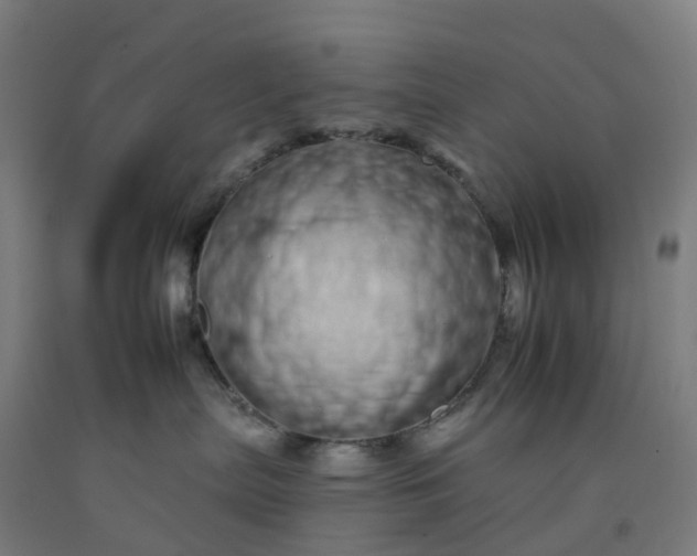 X0000092260287200709281210