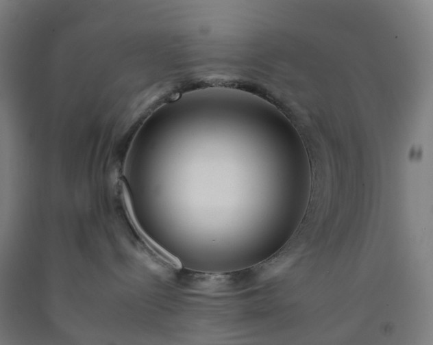 X0000092260288200709281210