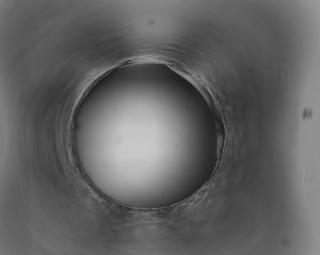 X0000092260289200709281209