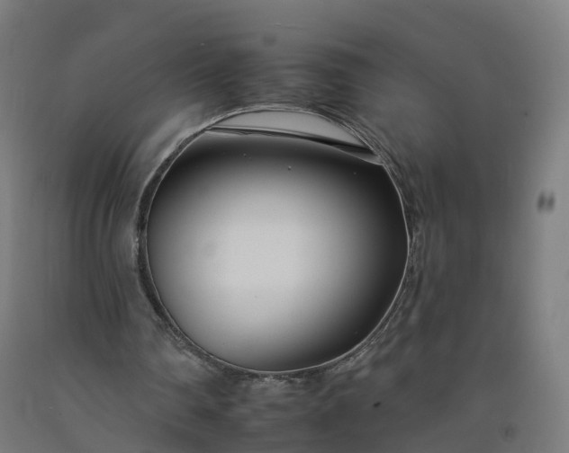 X0000092260290200709281209