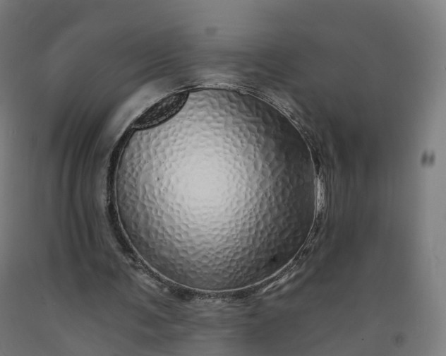 X0000092260291200709281209