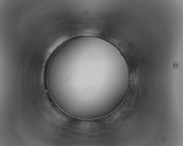 X0000092260292200709281209