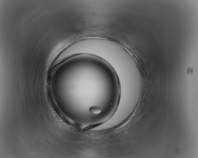 X0000092260293200709281209