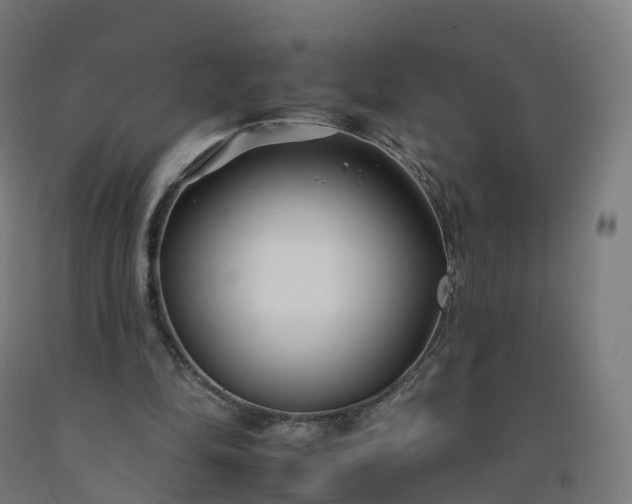 X0000092260294200709281209