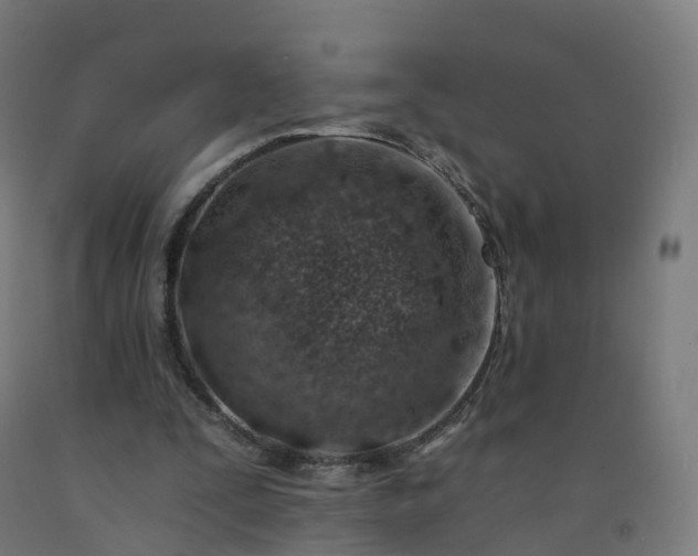 X0000092260295200709281209