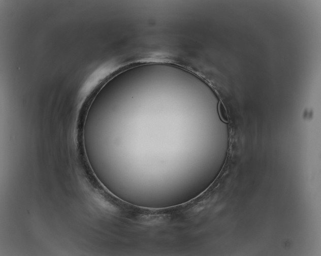 X0000092260296200709281209