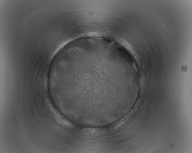 X0000092260297200709281209