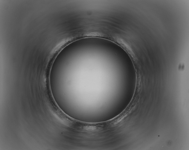 X0000092260298200709281209