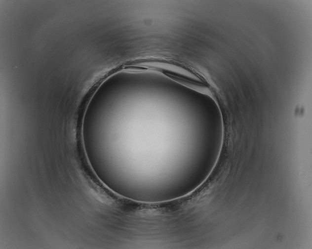 X0000092260299200709281209