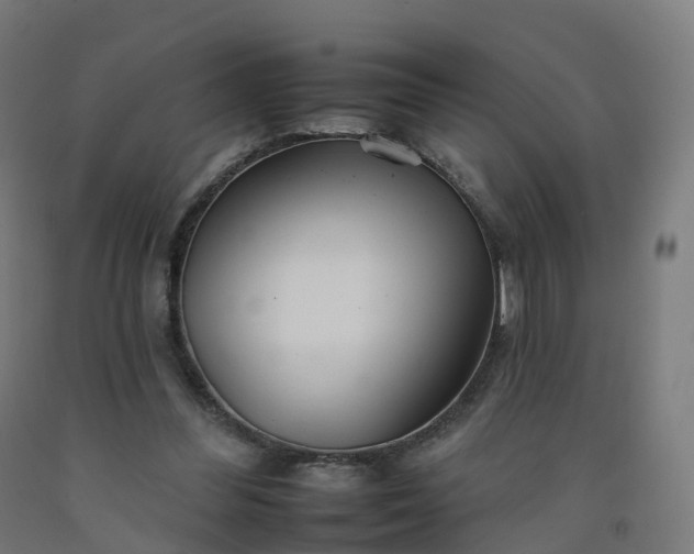 X0000092260300200709281209