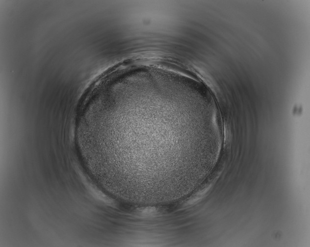 X0000092260301200709281209