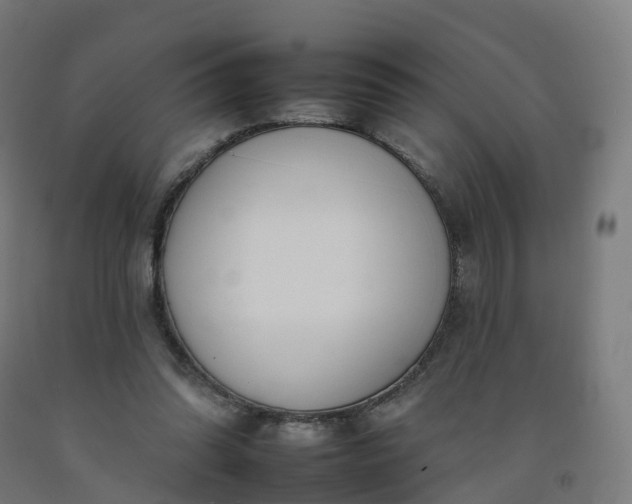 X0000092260302200709281209