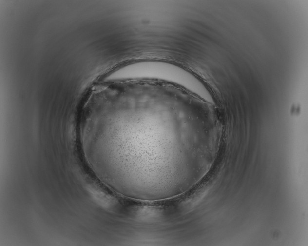 X0000092260303200709281209