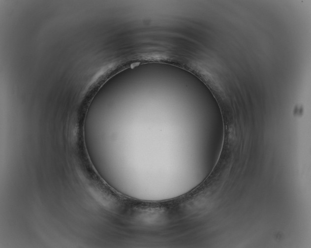 X0000092260304200709281209