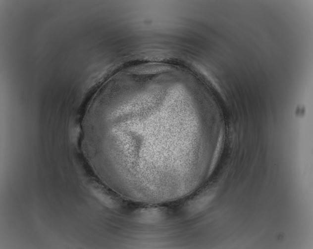 X0000092260307200709281209