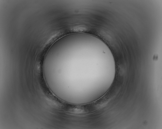 X0000092260308200709281209