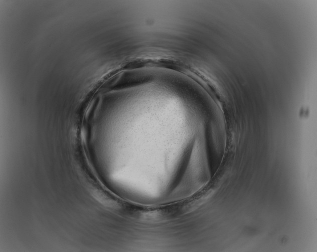 X0000092260309200709281209