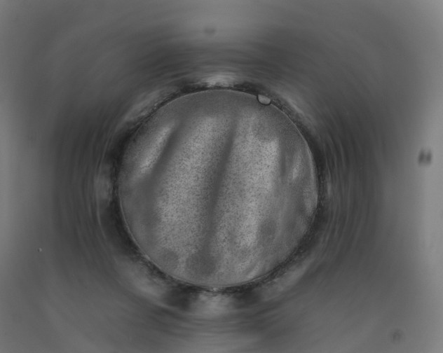 X0000092260311200709281209