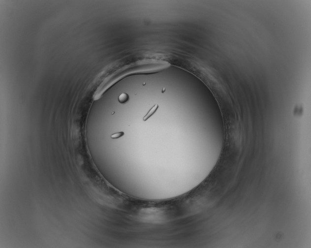 X0000092260312200709281209