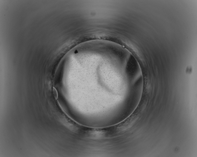 X0000092260313200709281209