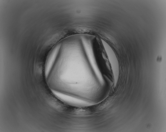 X0000092260315200709281209