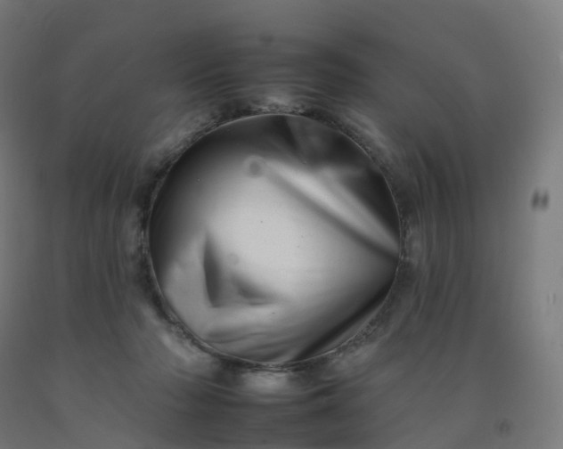 X0000092260318200709281209