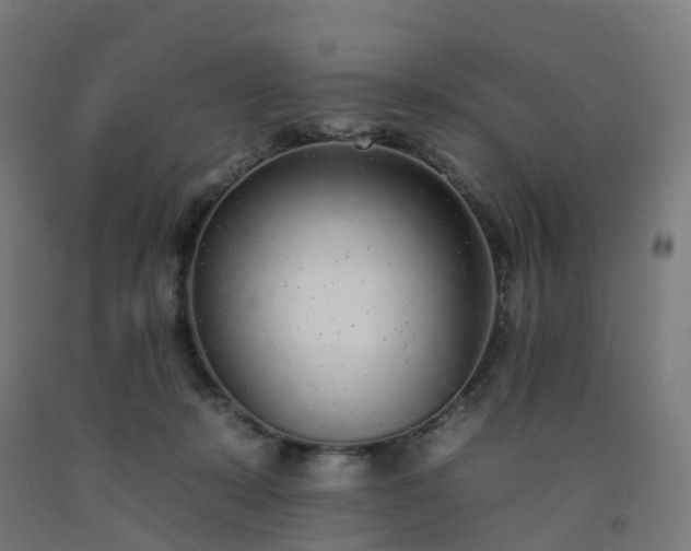 X0000092260319200709281209