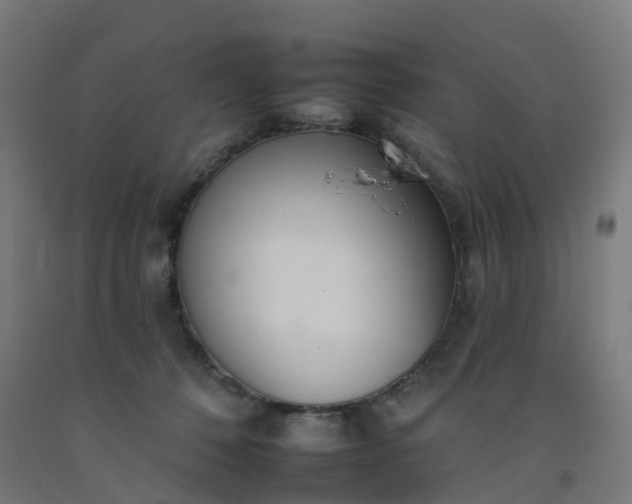 X0000092260320200709281209