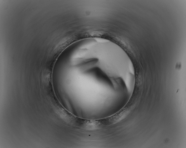 X0000092260321200709281209