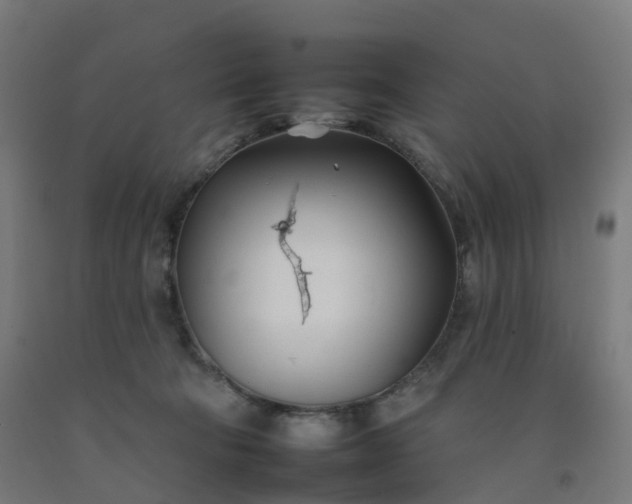 X0000092260322200709281209