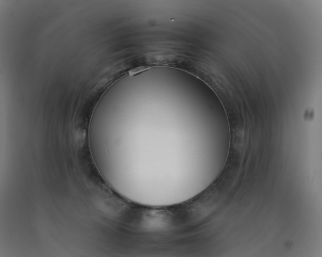 X0000092260324200709281209