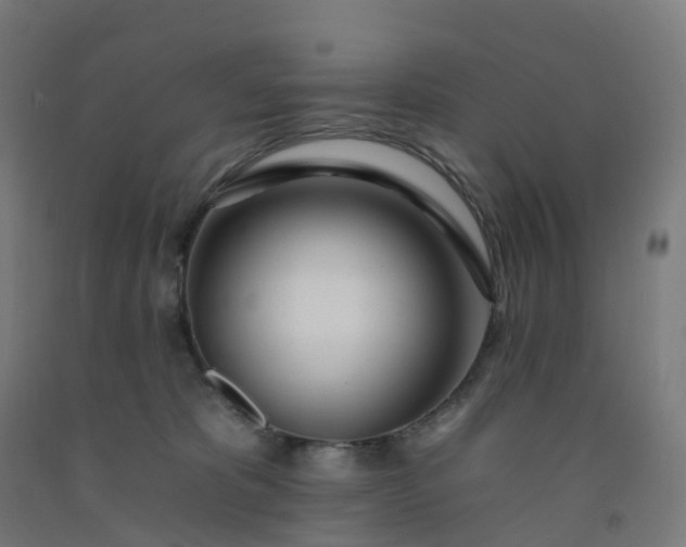 X0000092260325200709281209